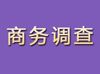 莱城商务调查